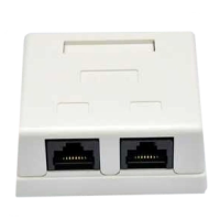 Розетка зовнішня EPNew 2хUTP, кат. 6, RJ45